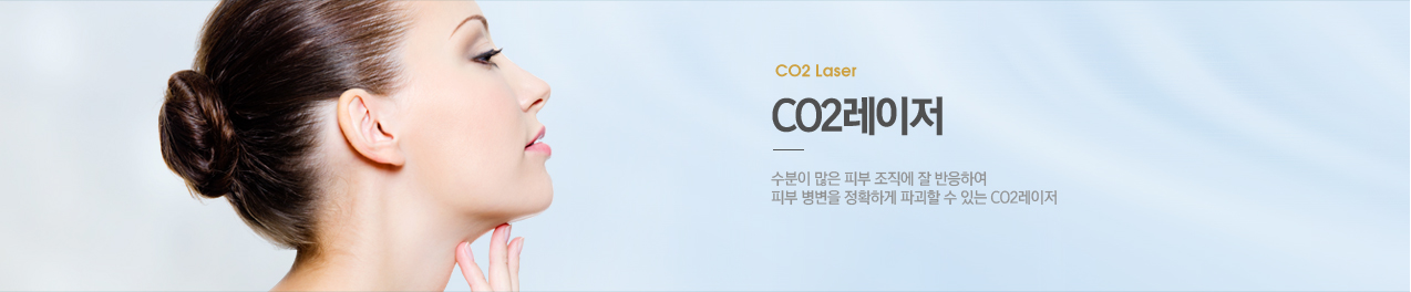 CO2 레이저 visual